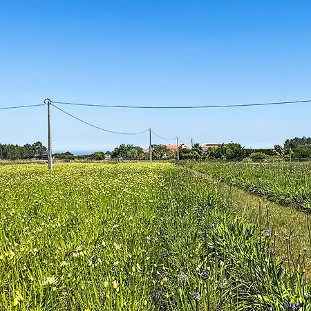 Charmantes Mit Schoener Aussicht- 2 Sc By Interhome